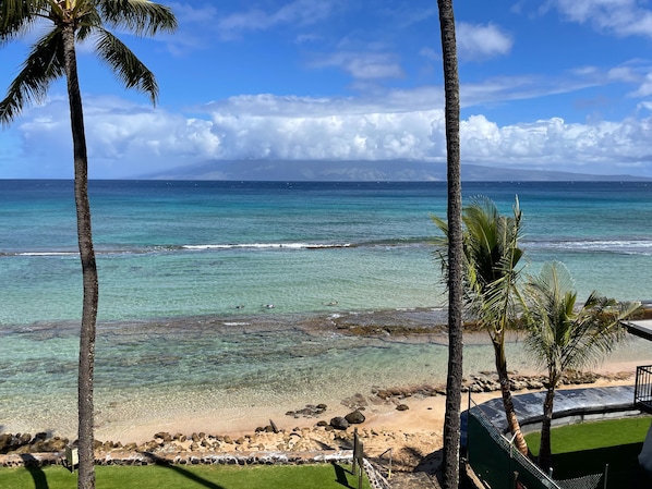 A beach view with clear water, palm trees, and a distant mountain range.