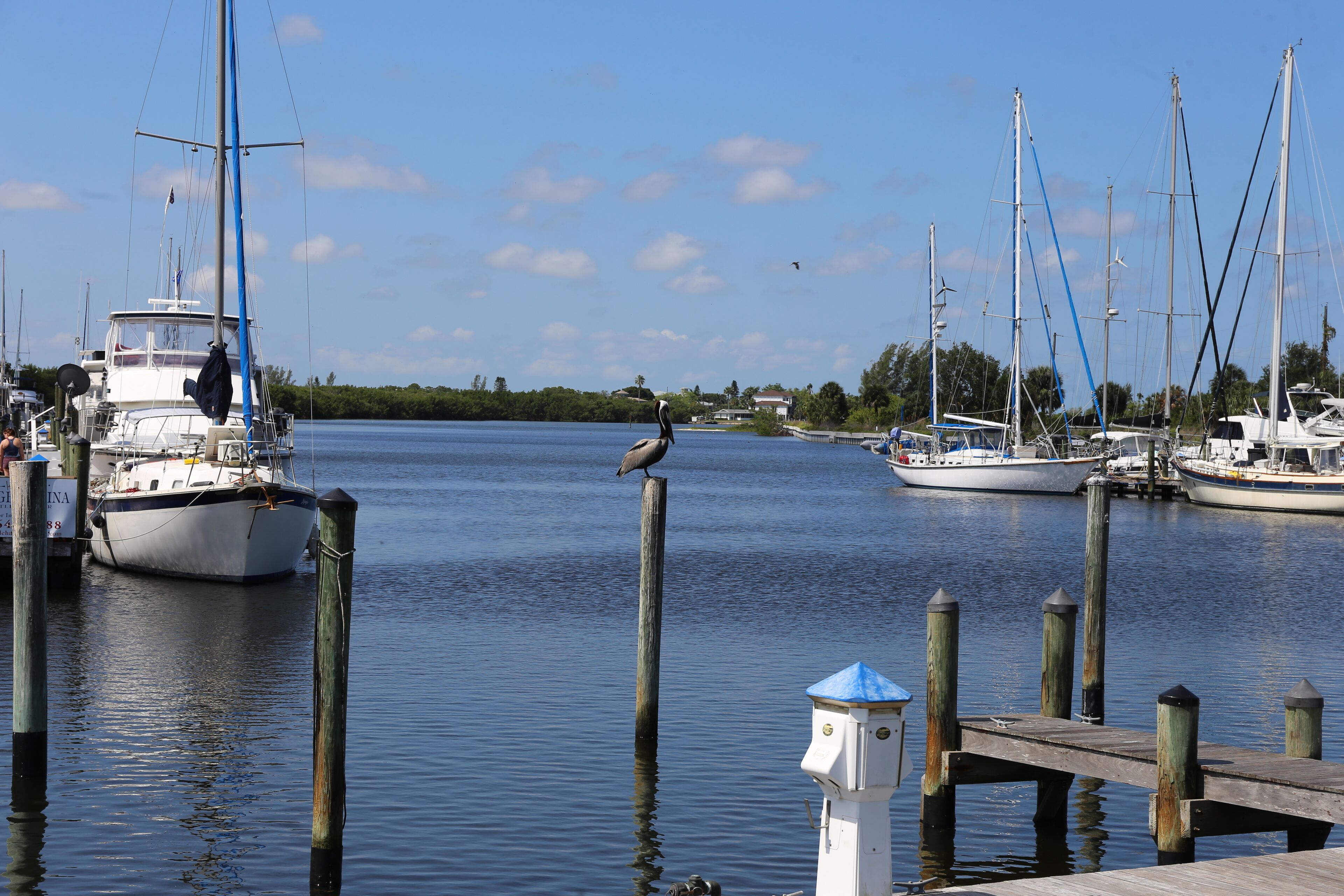 A marina with boats docked, wooden pilings, and a bird perched on a post.