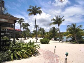 On the beach, beach towels - Welcome to the Finest Beachfront/Poolside Condo at Sapphire Beach! (St Thomas)