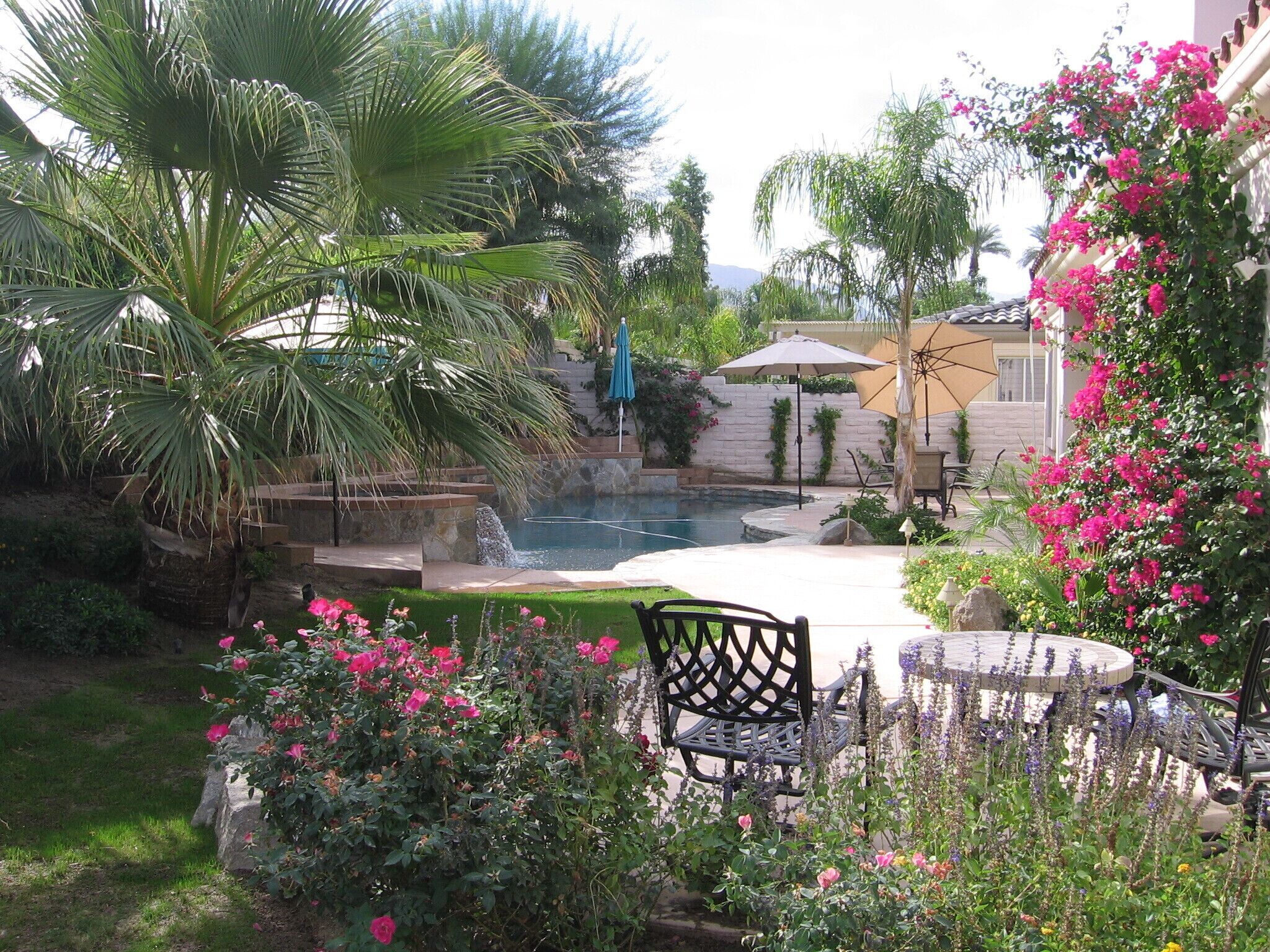 NEWLY AVAIL! Private gated home w 4 bd 3ba w Casita, Pool Spa