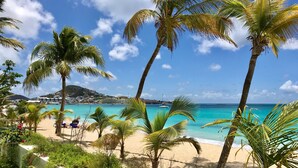 A beach with palm trees, a sandy shore, and a view of the ocean. - Le Papillon on the beach (Simpson Bay)