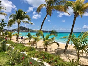 Plage, chaises longues, serviettes de plage