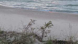 Beach - Enjoy our upscale, clean & well-equipped cabin in a beautiful setting. (Saugatuck)