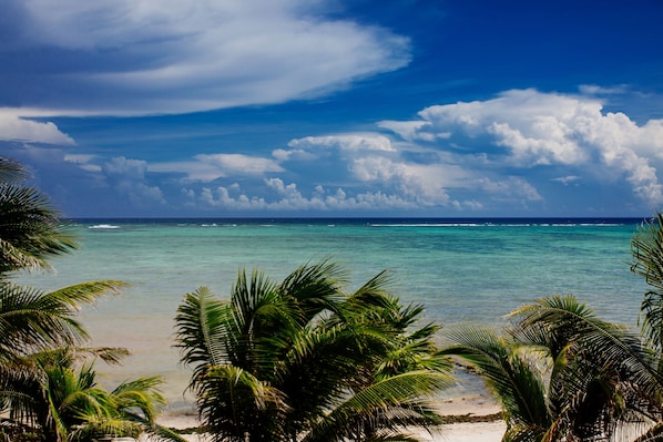A beach with clear turquoise water, palm trees, and a partly cloudy sky.