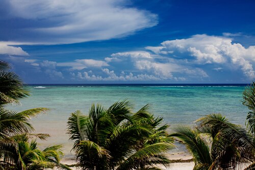 Spacious Beachfront Villa with a Large Beach, Pool & Exceptional Mexican Cuisine
