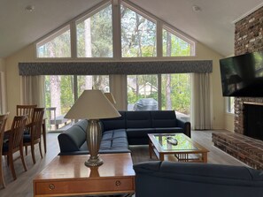 Smart TV, books, video library