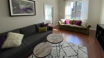 TV, fireplace, video games, DVD player