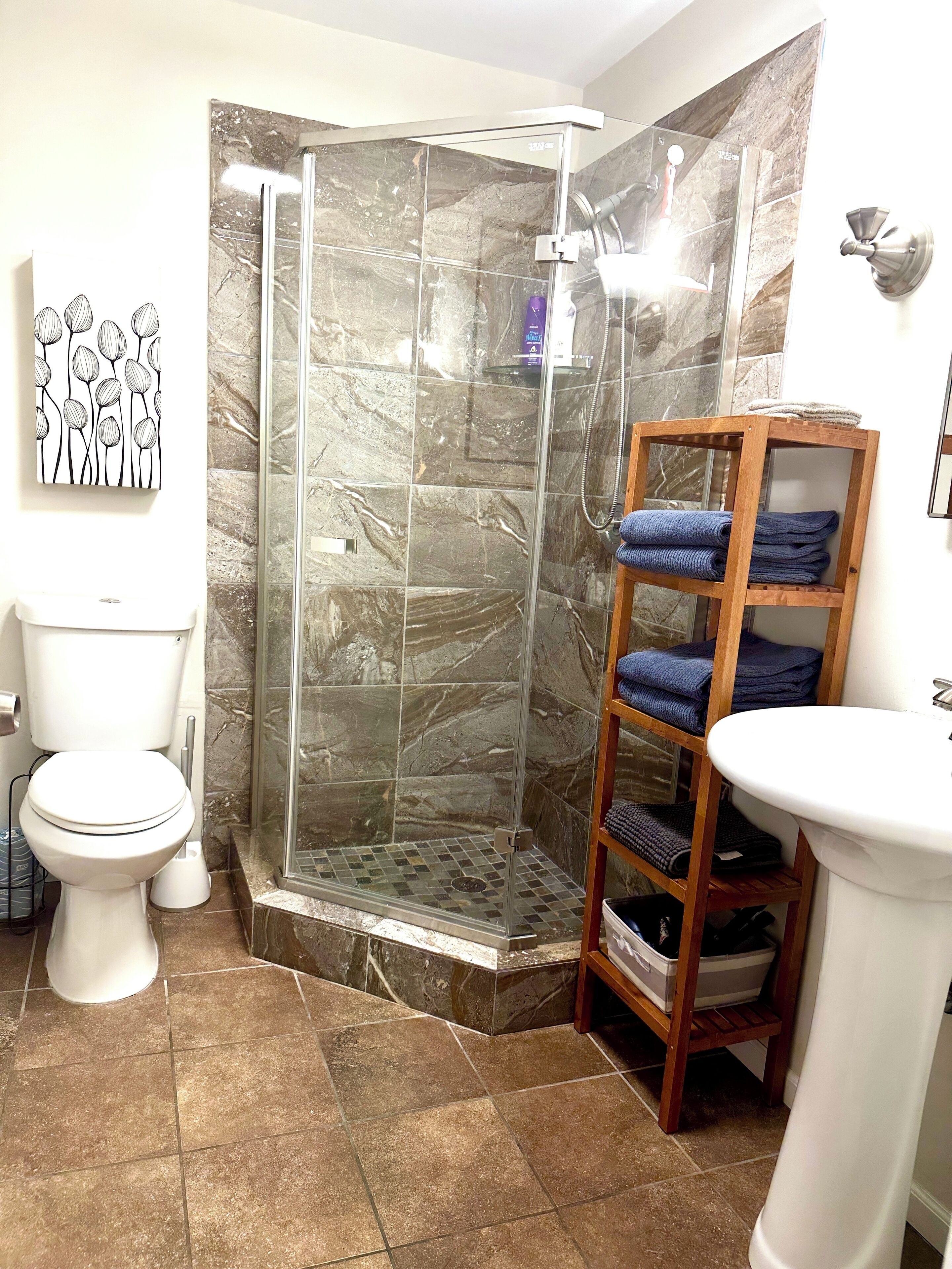 Hair dryer, towels, soap, shampoo