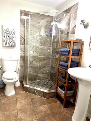 Séchoir à cheveux, serviettes fournies, savon, shampooing