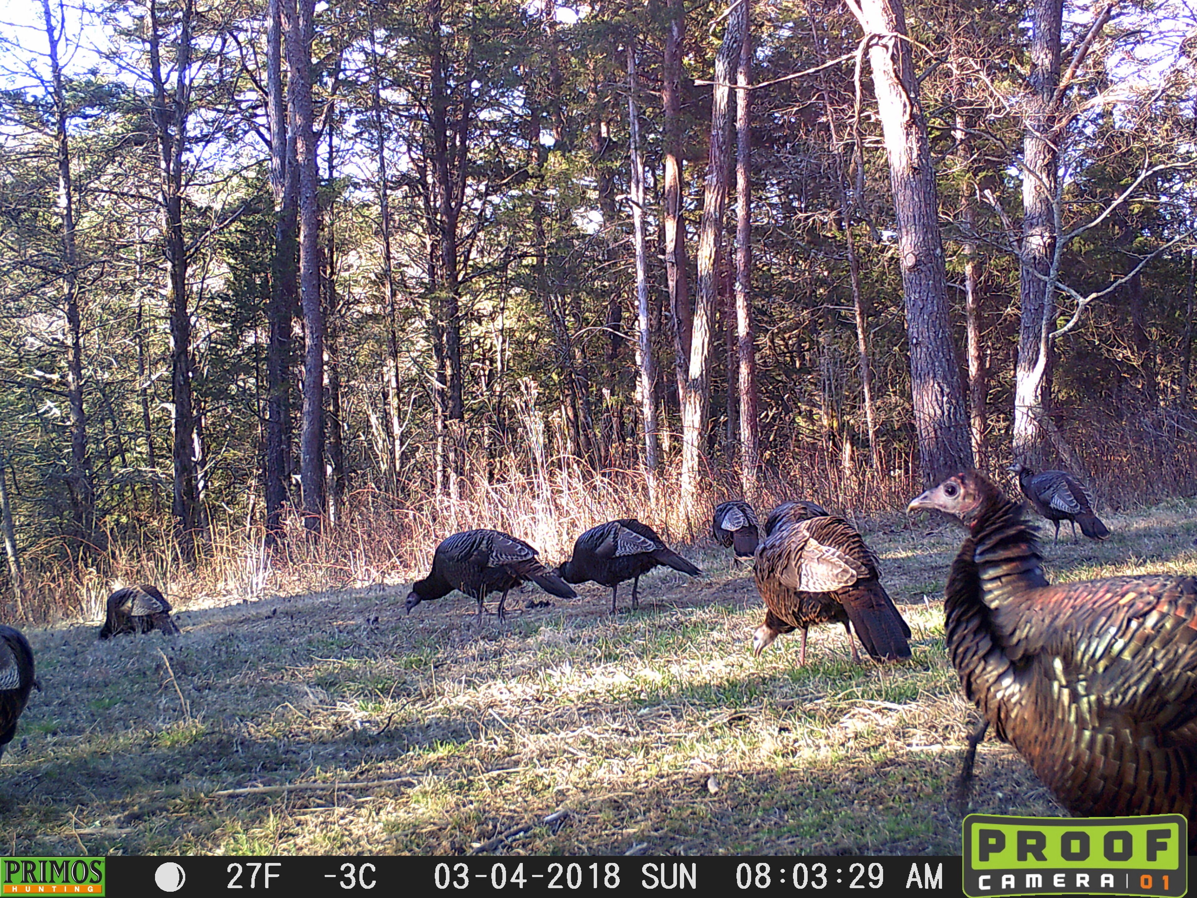 Private vacation home