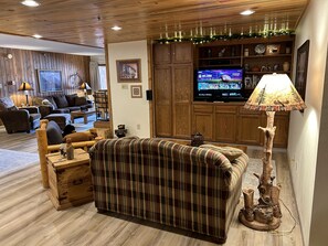 Smart TV, fireplace, DVD player, books
