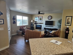 Smart TV, fireplace, books