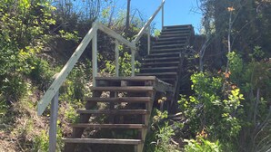 A wooden staircase leading up a hill, surrounded by greenery and trees. - Oceanfront Cottage in Milbridge ~ME~ (Milbridge)