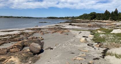 Oceanfront Mökki Milbridge ~ ME ~