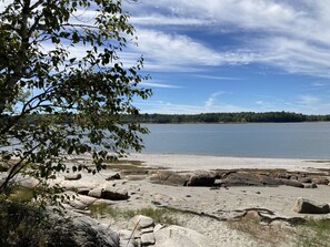 A beach with large rocks and a tree in the foreground. - Oceanfront Cottage in Milbridge ~ME~ (Milbridge)