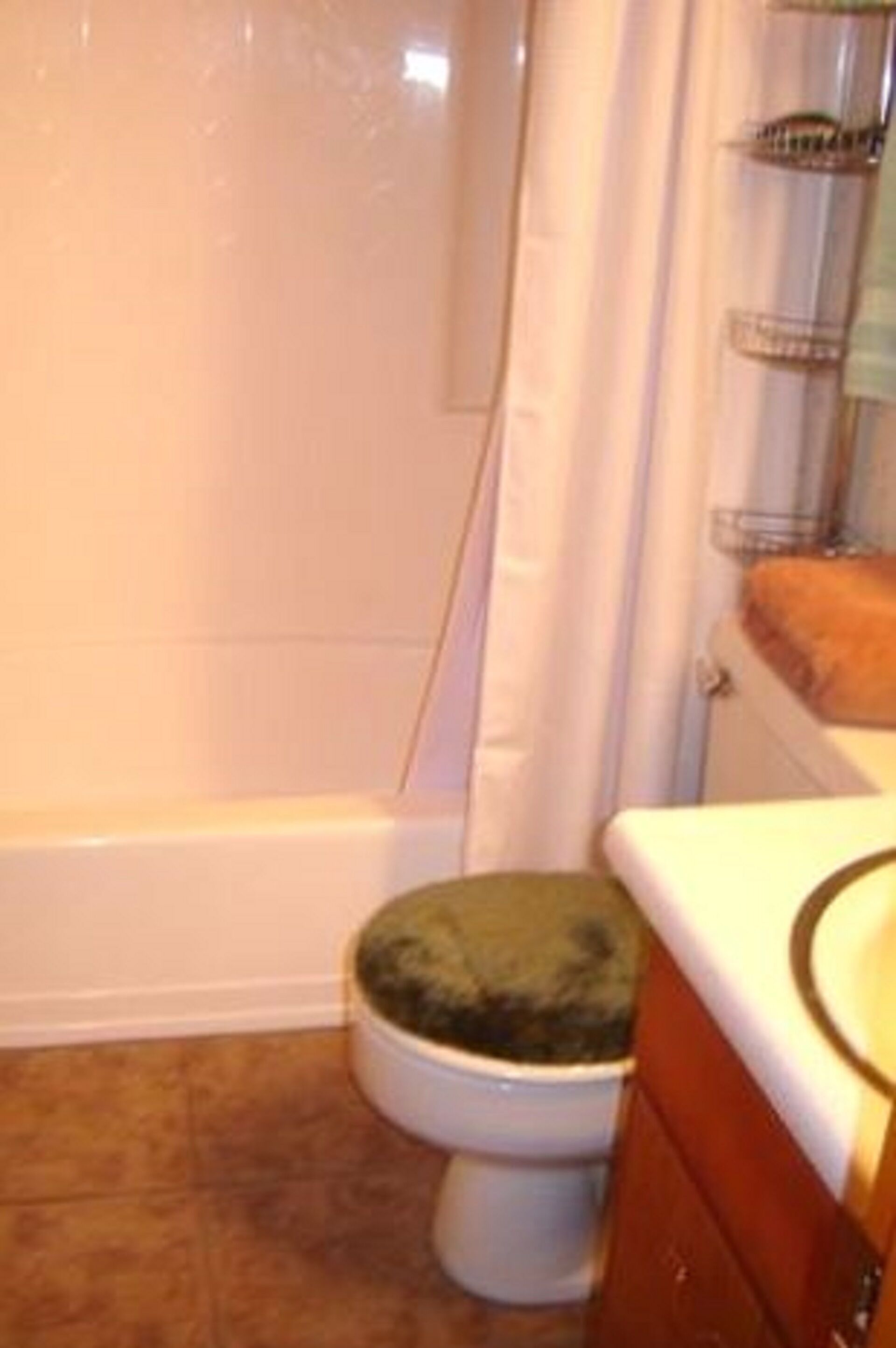 A bathroom with a bathtub, toilet, and a shower curtain.