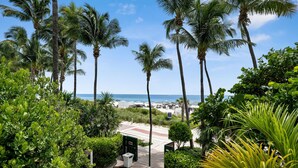 A pathway leading to a beach with palm trees and a clear view of the ocean.