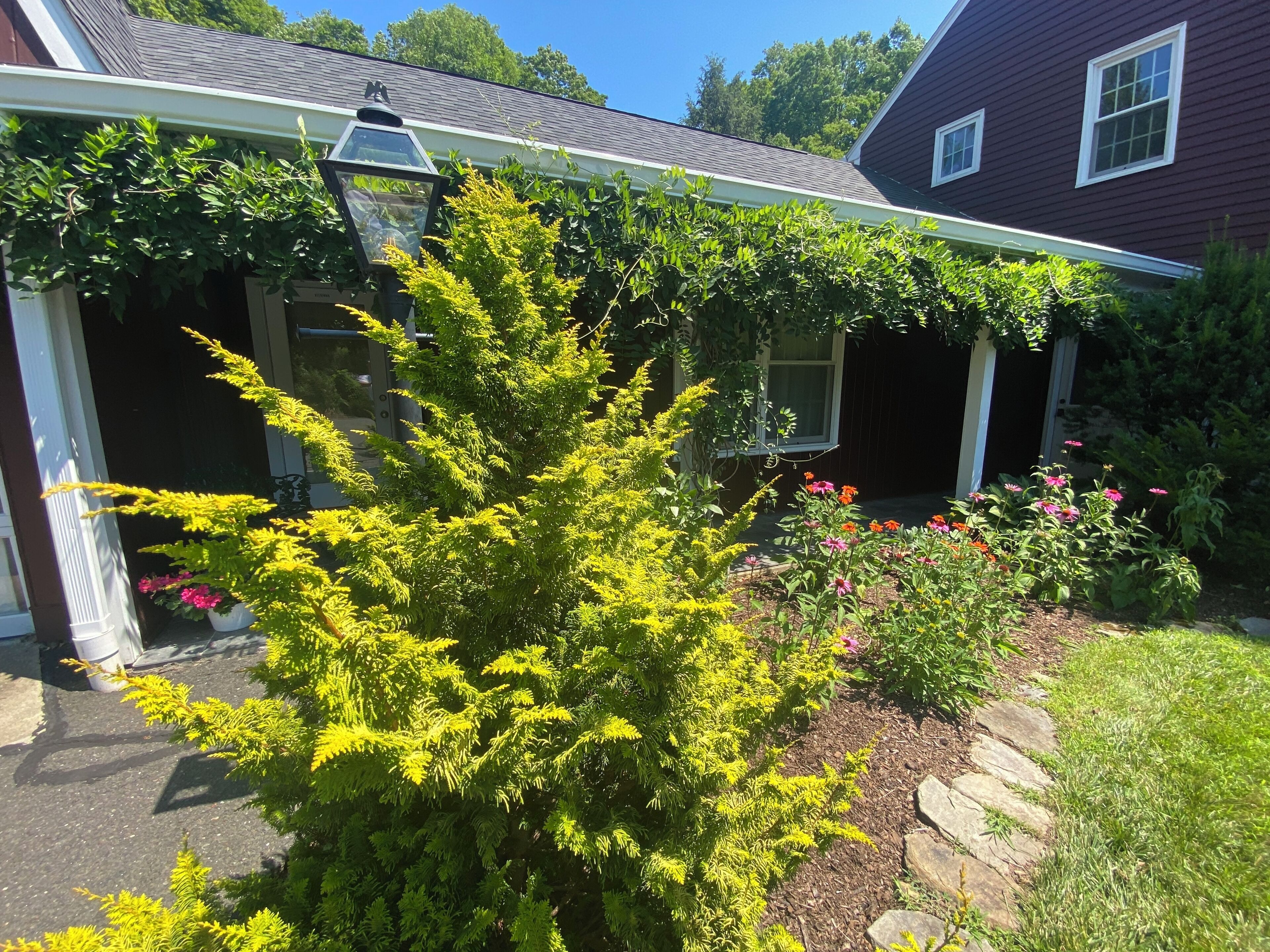 Détail de l’extérieur