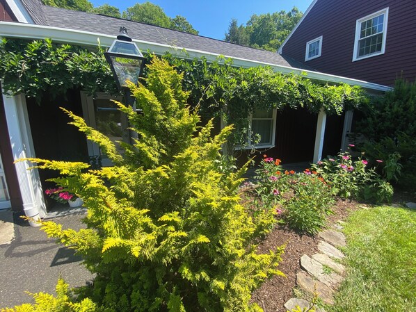 Ein Haus mit Veranda, ein großer Nadelbaum und ein Garten mit verschiedenen Pflanzen und Blumen.