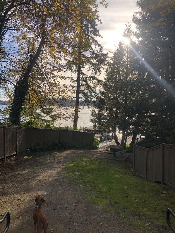 Property grounds - Light & Bright 2BR - 2Baths, Fenced Garden, WIFI, Pet friendly, Long term ok (Clyde Hill)