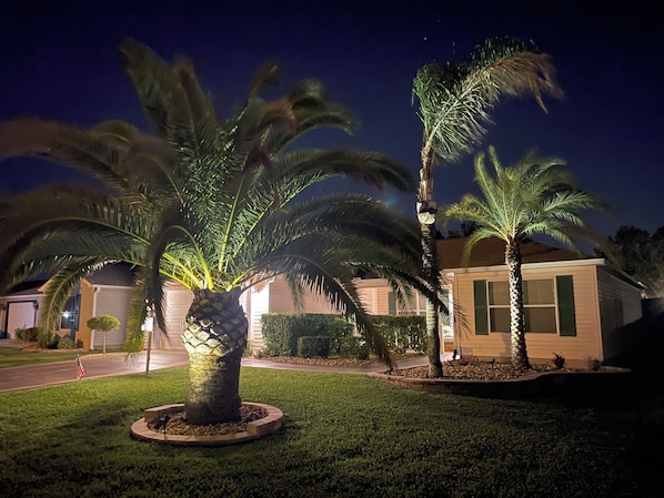 A residential area with palm trees and a house.