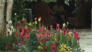 An outdoor seating area with a covered structure, surrounded by a variety of colorful flowers.