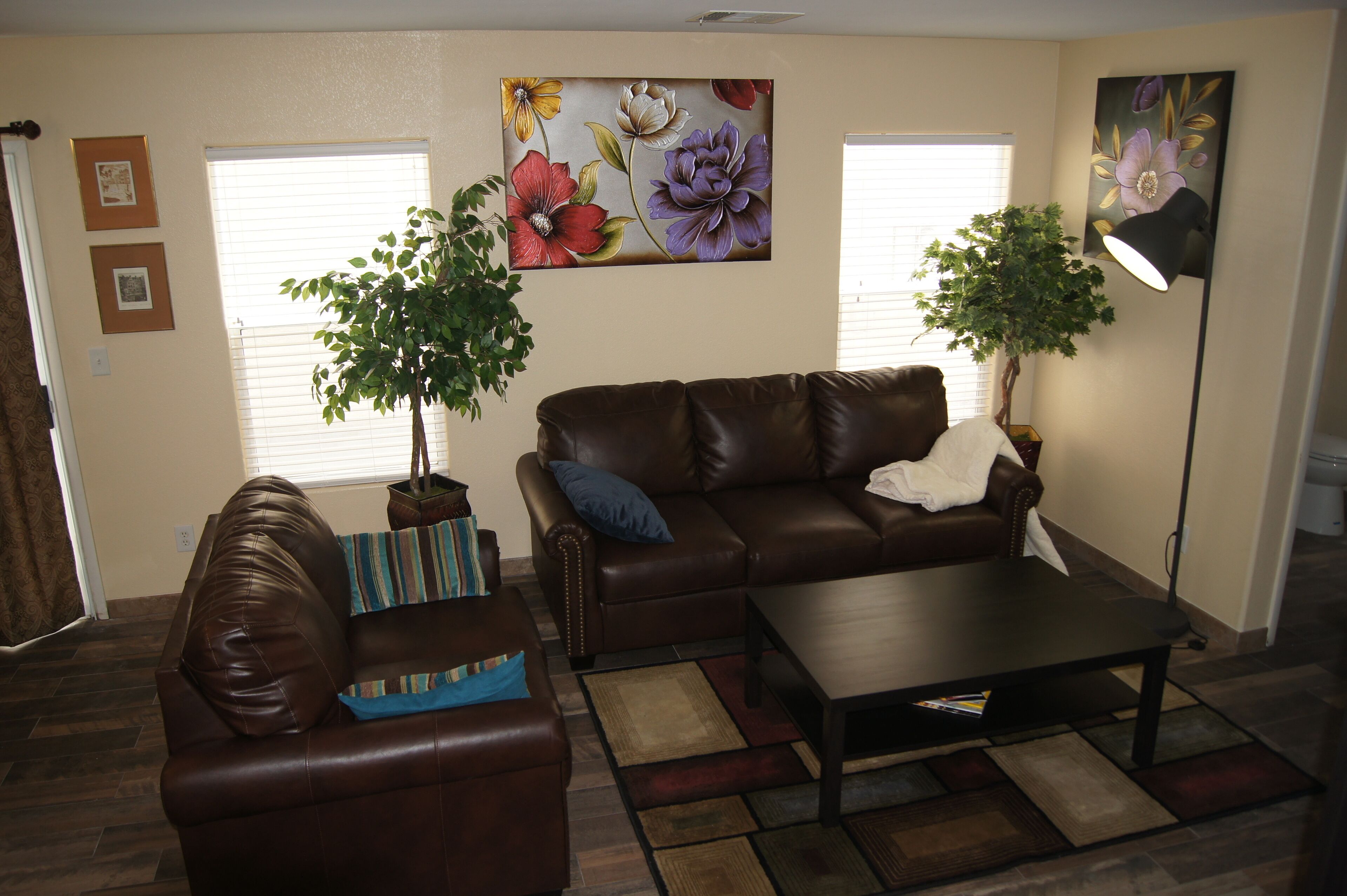 Smart TV, DVD player