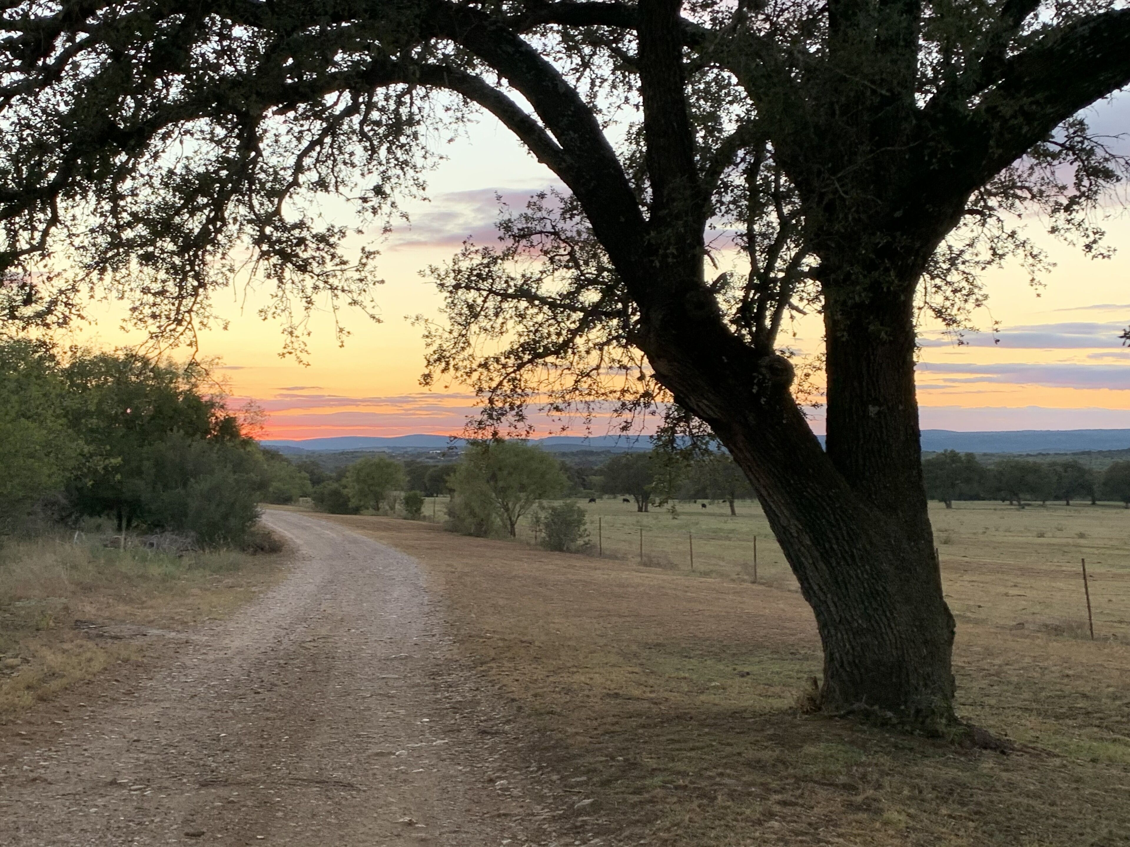 Fredericksburg, Willow City Loop, Horseshoe Bay, Johnson City, Mountain Views!!