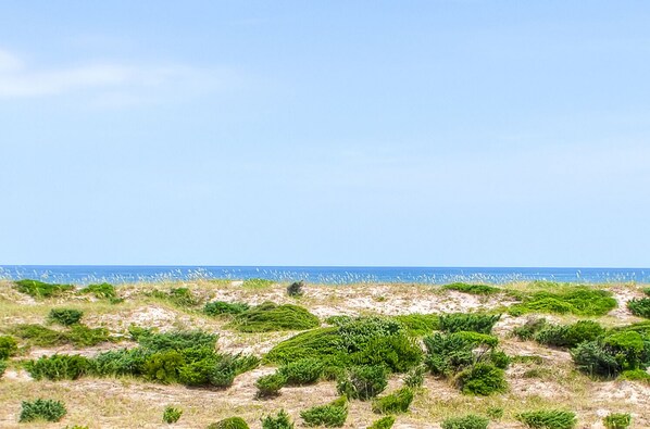 On the beach