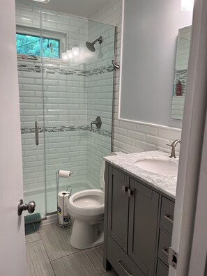 Combined shower/tub, hair dryer, towels
