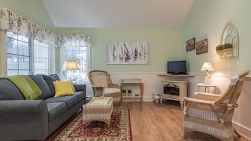 Smart TV, fireplace, books