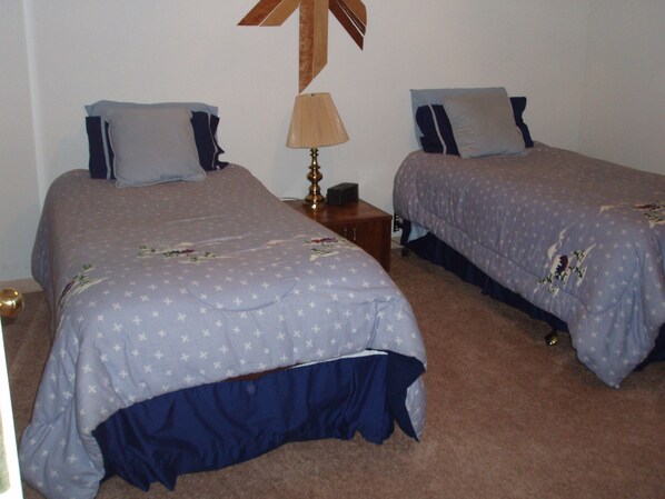 Two single beds with matching headboards and footboards, a bedside table with a lamp, and a wall-mounted decoration.