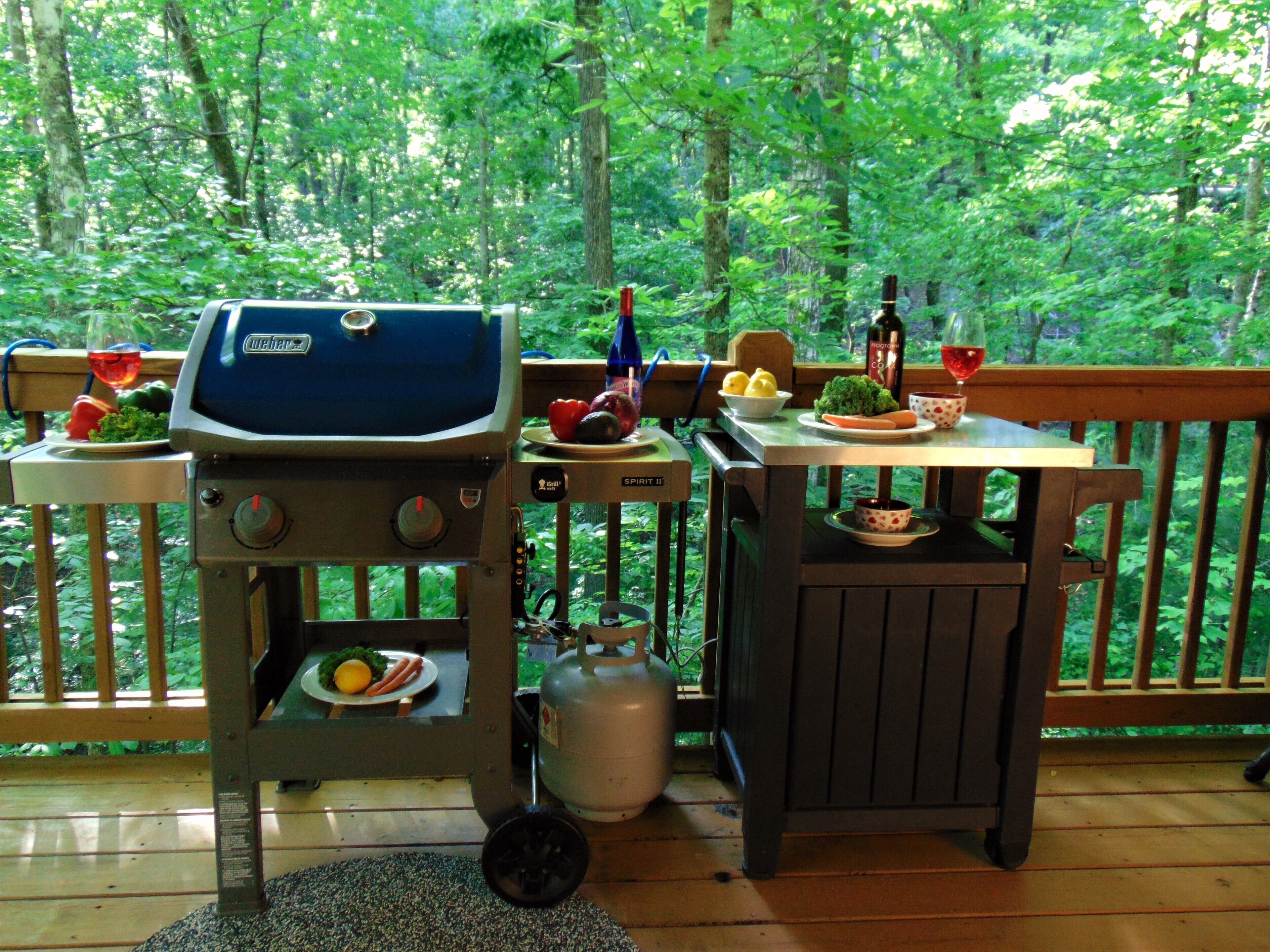 Una terrazza con una griglia per barbecue, un tavolo con cibo e bevande, e vista su una foresta.