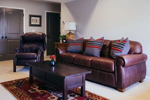 Smart TV, chimenea, reproductor de DVD, libros