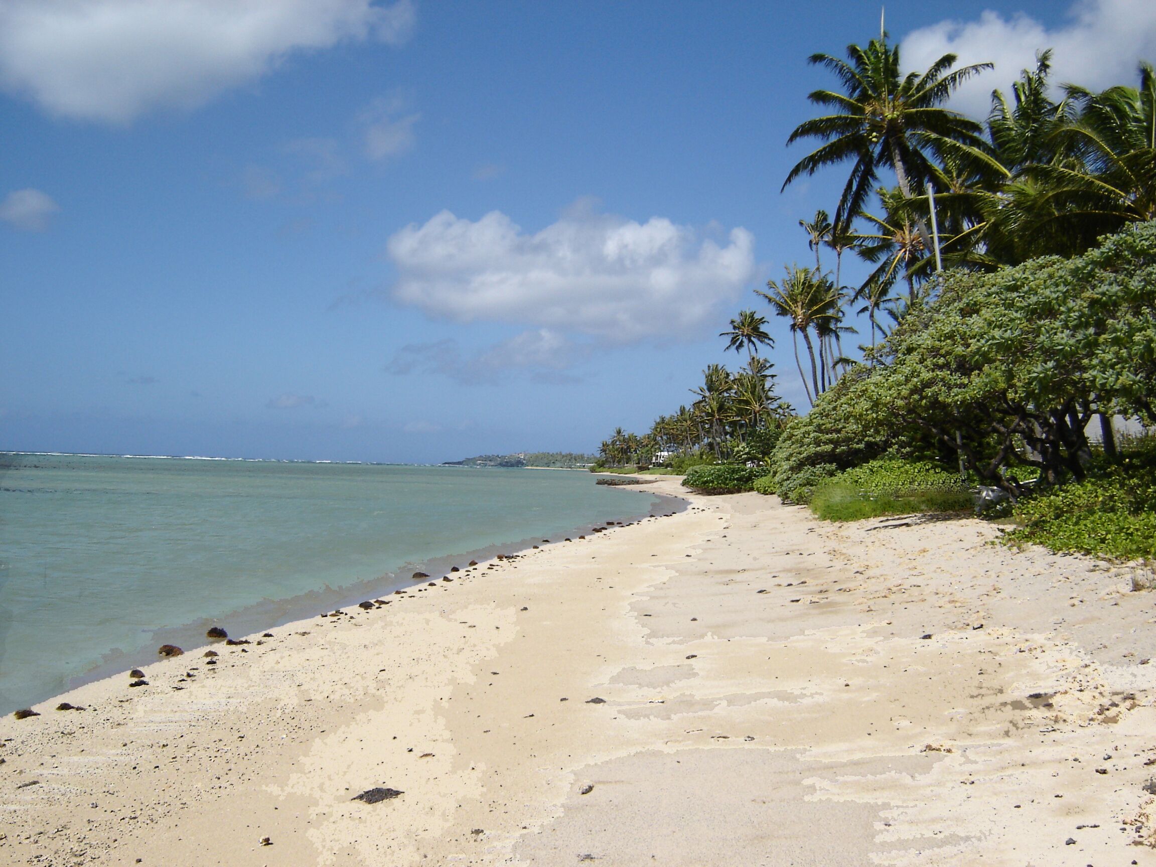 Mango Haven - A Gracious HISTORIC Beachfront Home