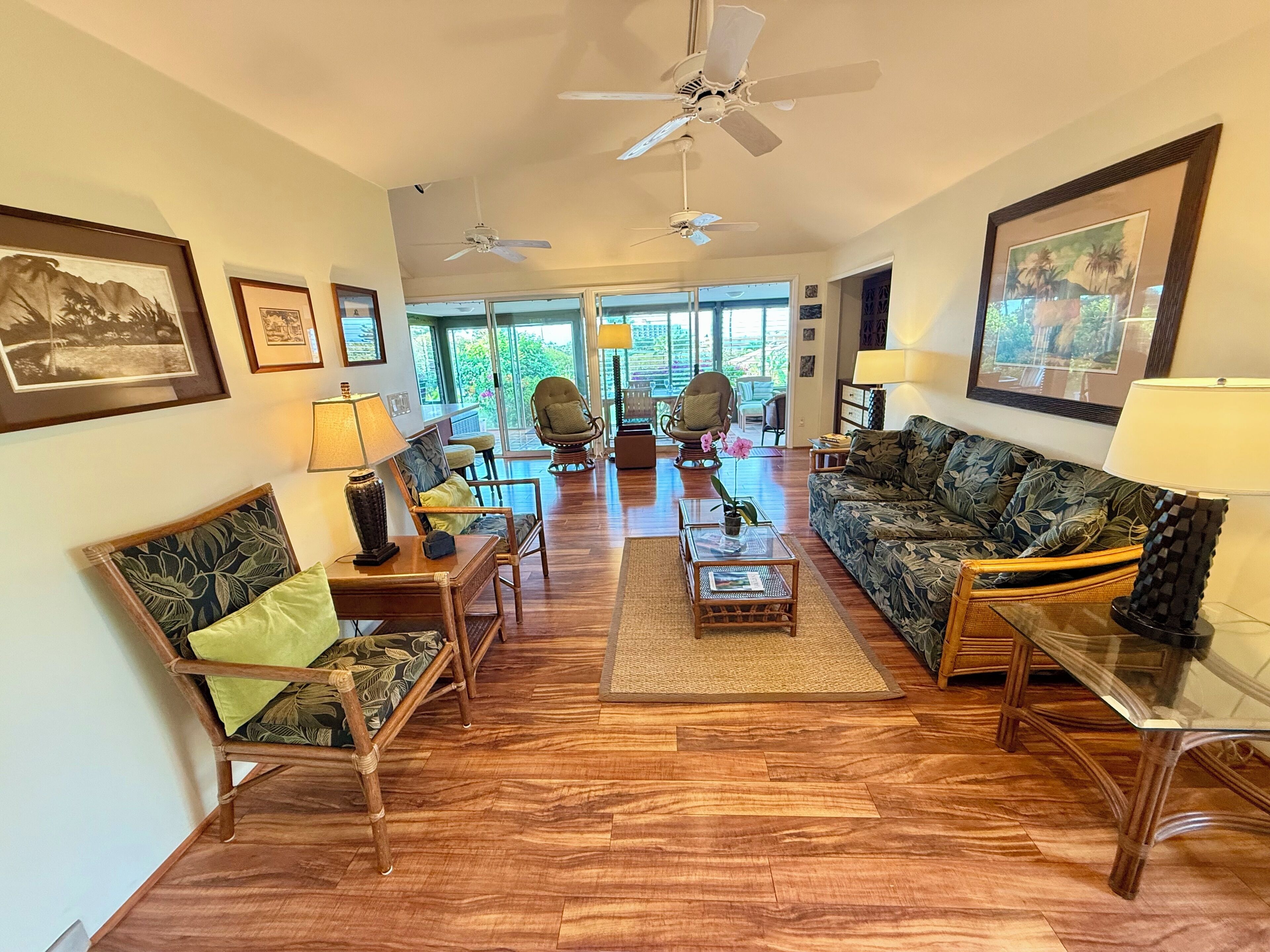 TV, DVD player, books, music library