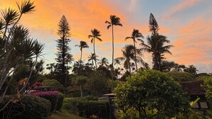 A garden with palm trees and a variety of shrubs. - Paradise Found:  Spacious, Comfortable, Private Hawaiian Cottage (Lahaina)
