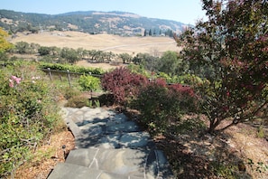 Stroll through lush gardens along a winding stone pathway, surrounded by vibrant vegetation and a serene hilly landscape.