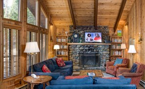 TV, fireplace, DVD player, books