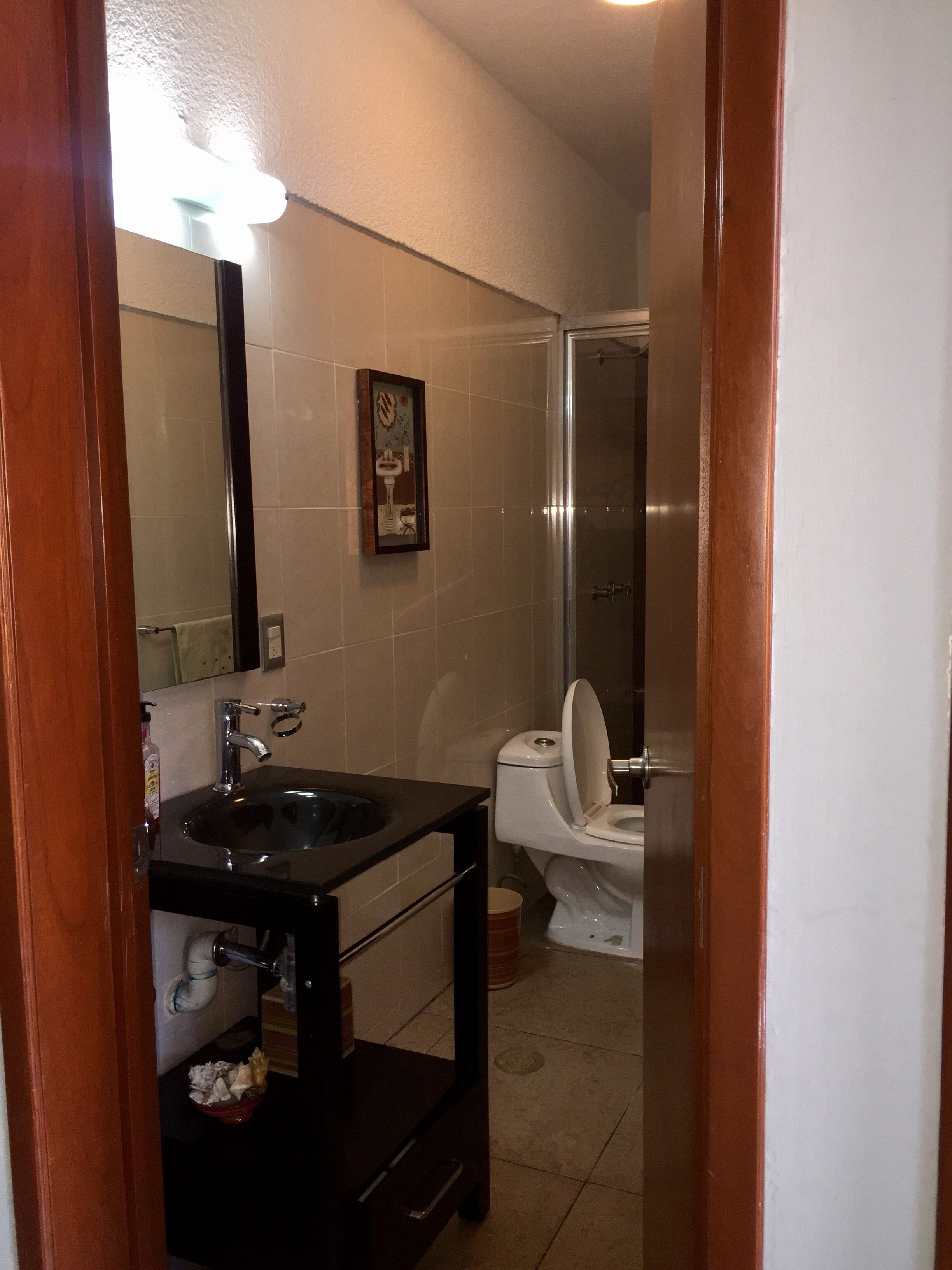  Faro Expo GDL for 12 pp near Plaza del Sol. Pet friendly. Steps from the expo.