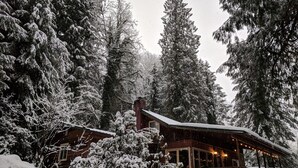 Eine Hütte, umgeben von schneebedeckten Bäumen.