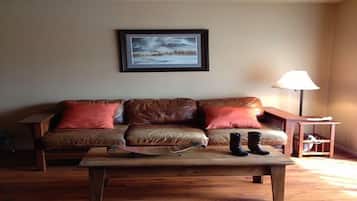 TV connectée, lecteur de DVD