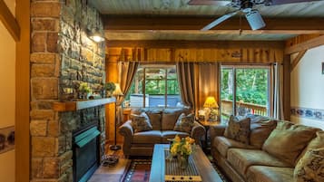 Smart TV, fireplace, DVD player, books