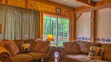 Smart TV, chimenea, reproductor de DVD, libros