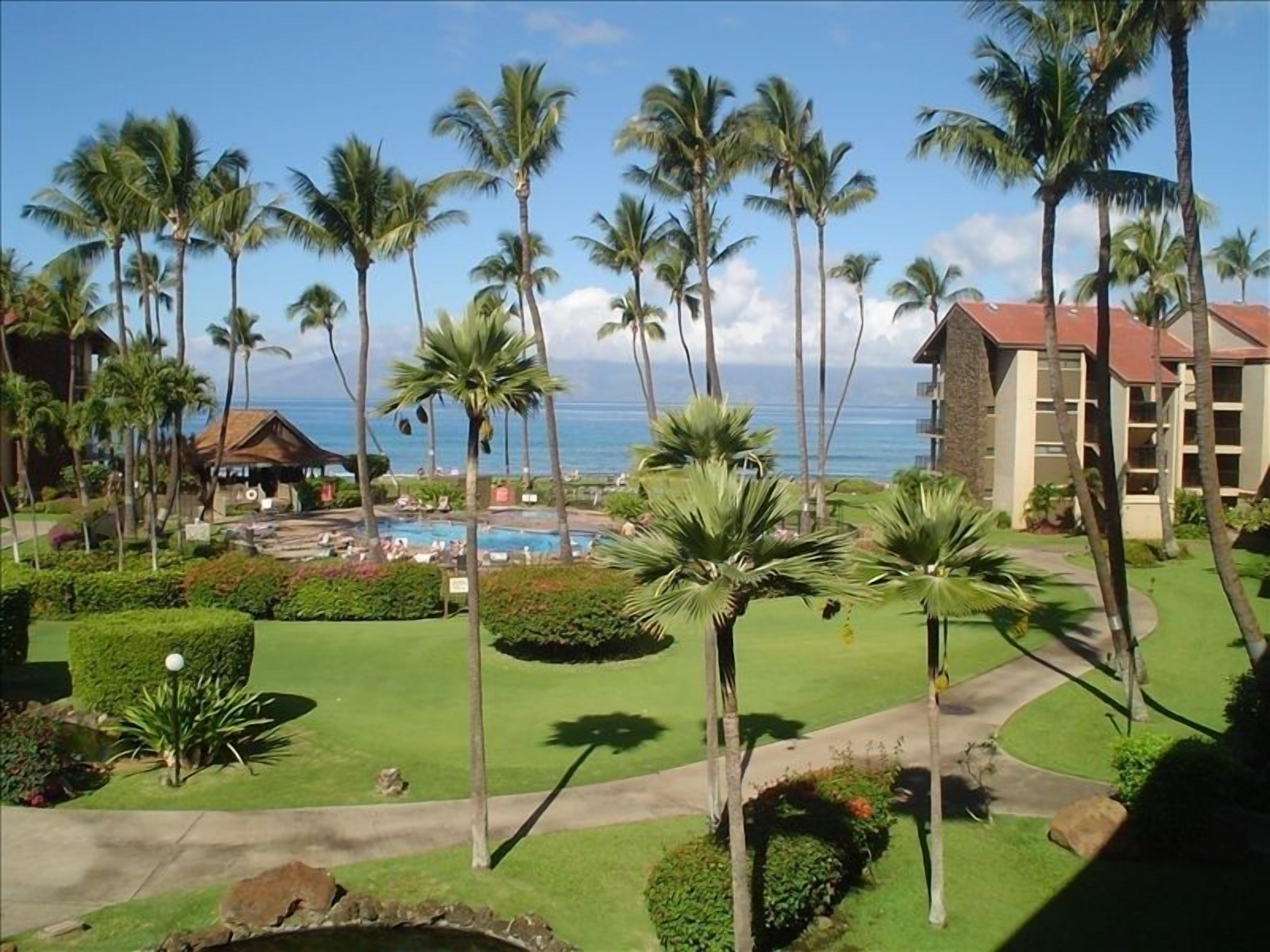 Donating 7% of proceeds to the people of Maui through June 2024! Maui needs YOU 