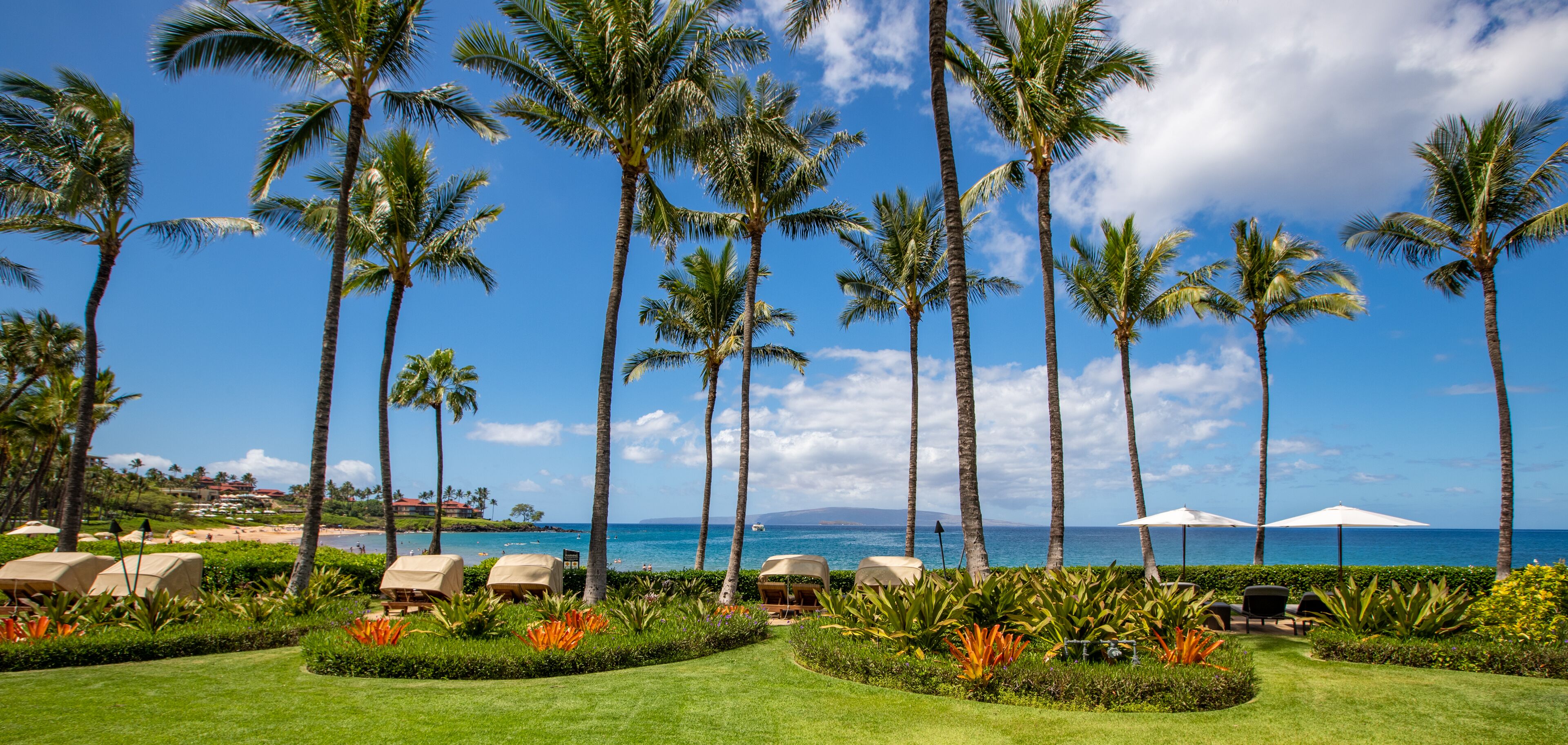 A resort with palm trees, beach view, and lounge chairs.