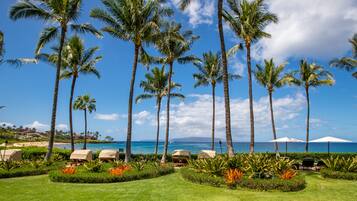 A resort with palm trees, beach view, and lounge chairs.