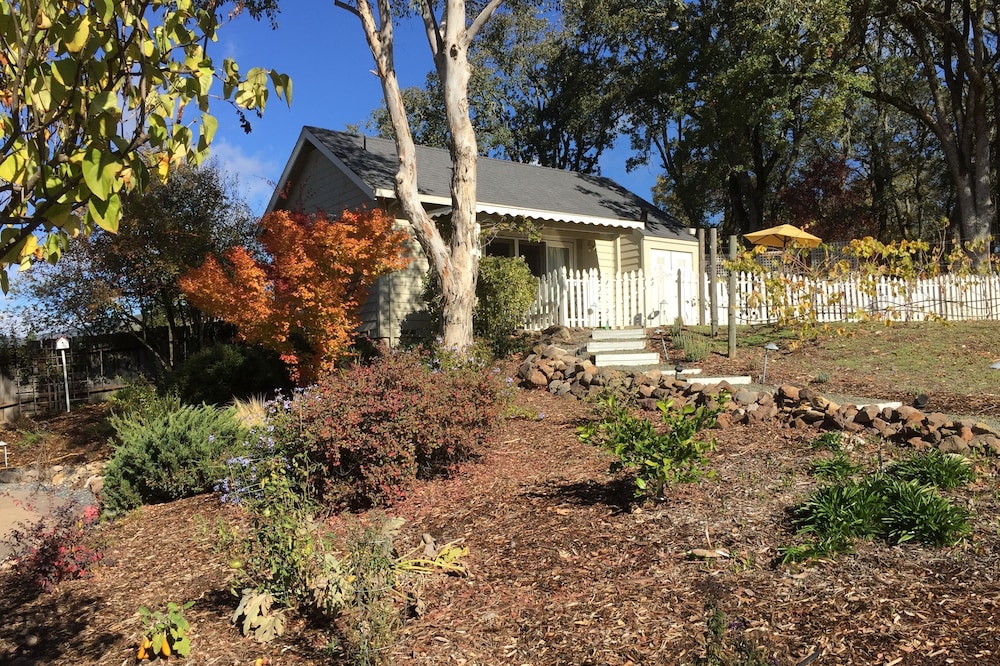 Fabulous Cottage, Walk to Glen Ellen