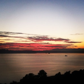 A sunset over a calm body of water with a silhouette of trees in the foreground. - No cleaning fee. Close to downtown via direct bus. Private & beautiful view. (Seattle)