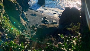 A coastal landscape with a rocky shoreline, trees, and a clear view of the ocean.